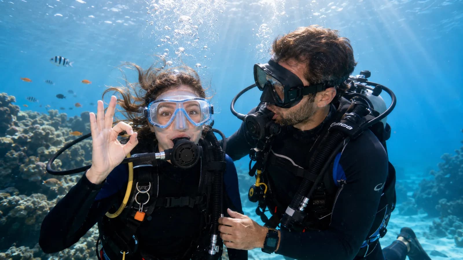 Dolphin House con snorkel y bautismo de buceo (9)